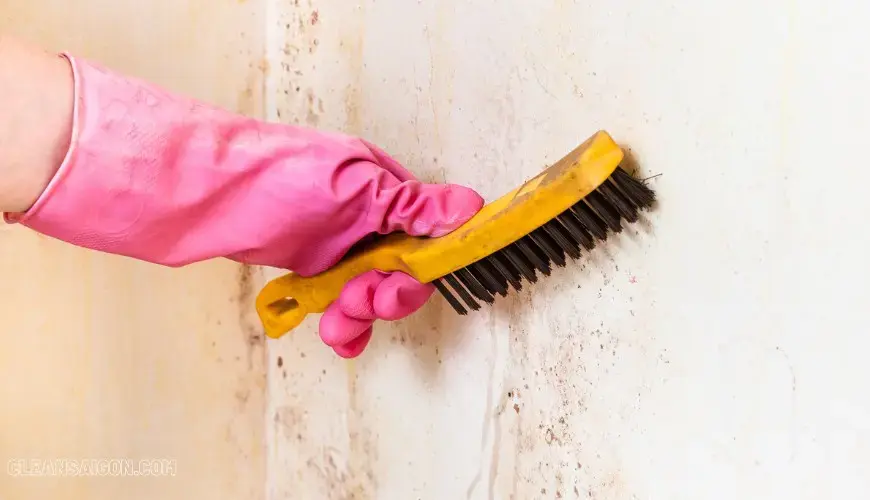 Vệ sinh toàn bộ căn hộ 1 Phòng ngủ 40m2