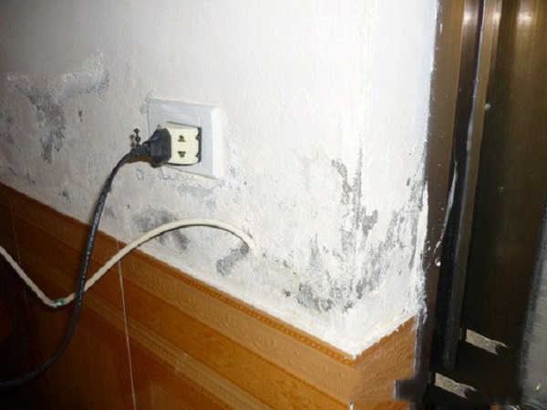 Chống thấm tường, bao gồm sơn lại tường